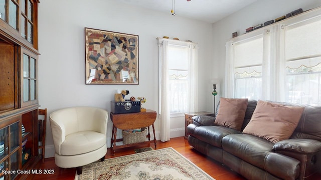 living room featuring wood-type flooring