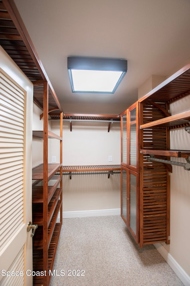 spacious closet with light colored carpet