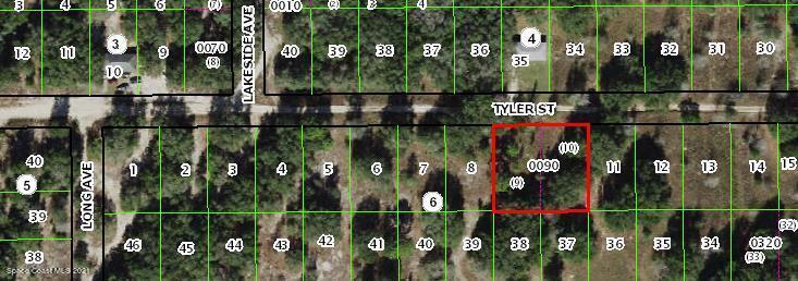 2503 Tyler St, Inverness, FL 34452 - photo 2