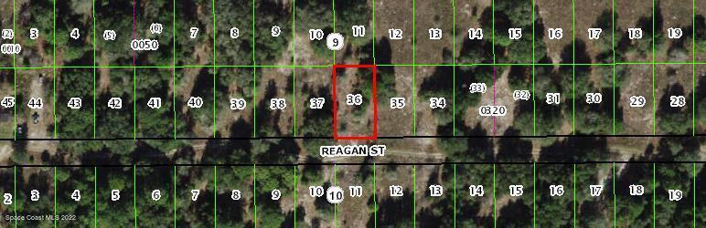 2412 Reagan St, Inverness, FL 34453 - photo 1
