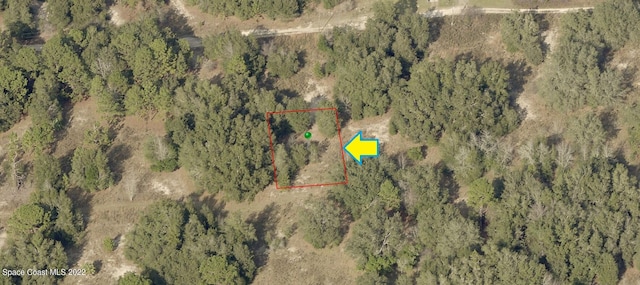 2408 Jefferson St, Inverness FL, 34453 land for sale