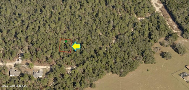 2711 Hillery St, Inverness, FL 34452