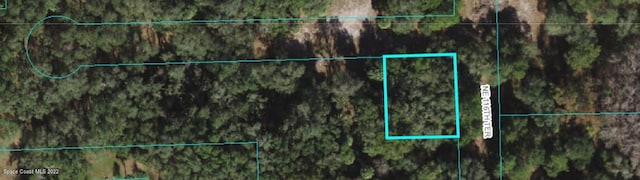 0 NE 116th Ter, Fort Mccoy FL, 32134 land for sale