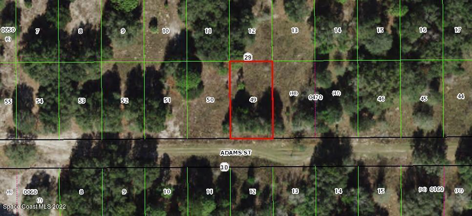 2410 Adams St, Inverness, FL 34453 - photo 1