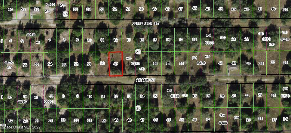 2410 Adams St, Inverness, FL 34453 - photo 2