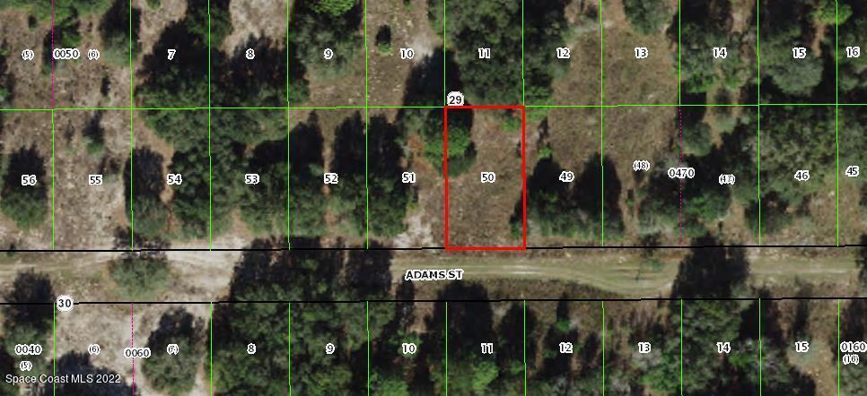 2412 Adams St, Inverness, FL 34453 - photo 1