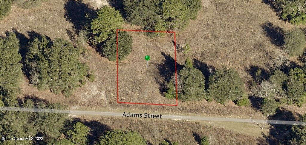 2412 Adams St, Inverness, FL 34453 - photo 3