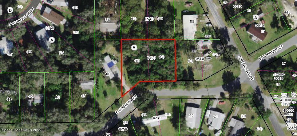 8167 E Gobbler Court, Floral City, FL 34436 - photo 1