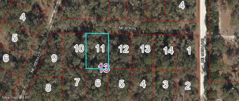 0 NE 9th Pl Fl, Williston, FL 32696 - photo 1