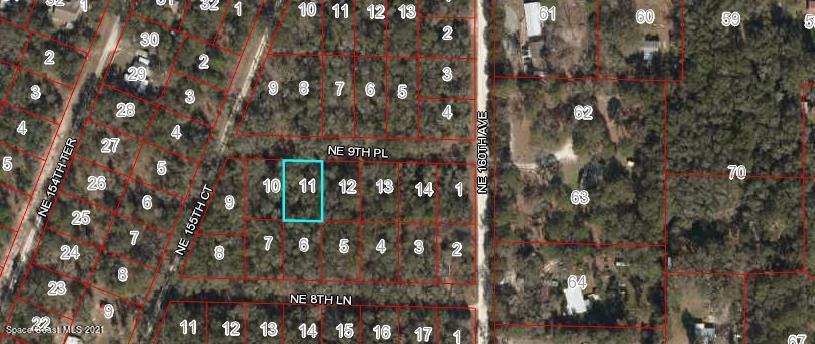 0 NE 9th Pl Fl, Williston, FL 32696 - photo 2