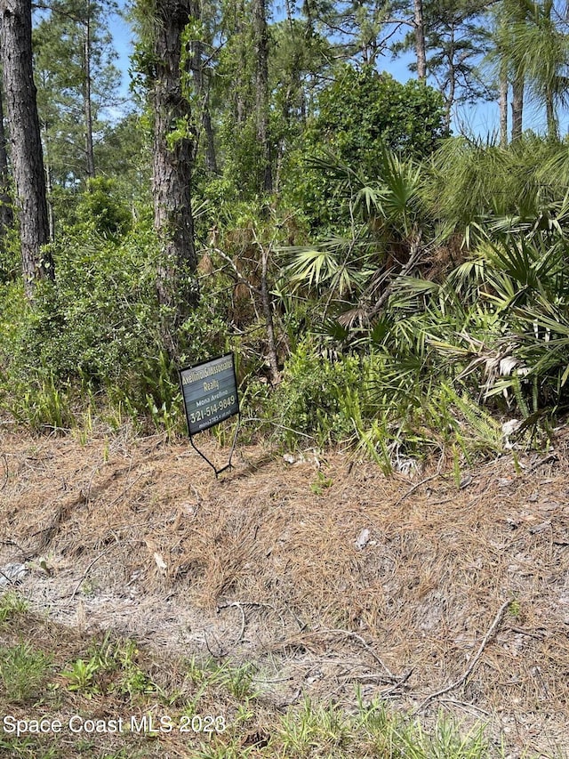 000000 11th Ave, Deland FL, 32724 land for sale