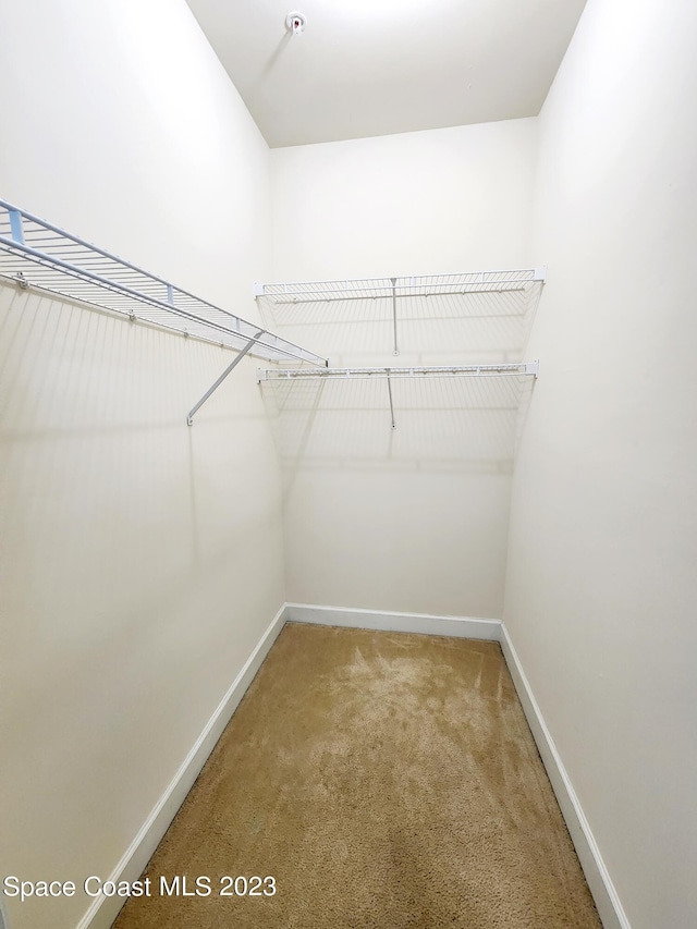 walk in closet featuring light carpet