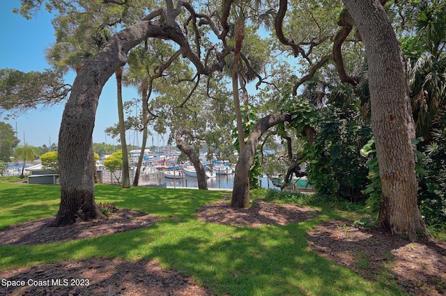 view of yard featuring a dock and a water view