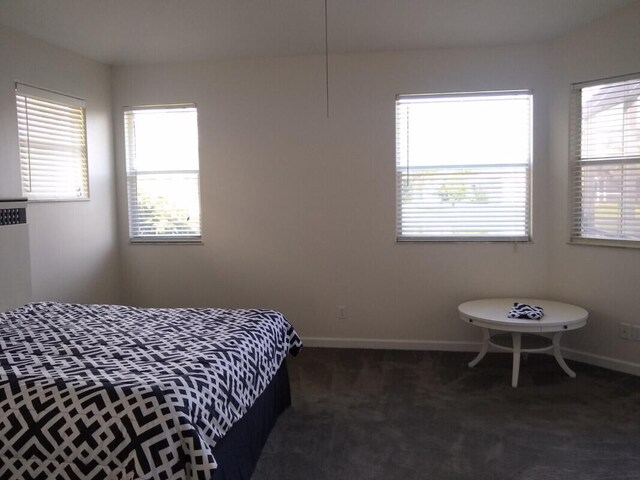 carpeted bedroom featuring multiple windows