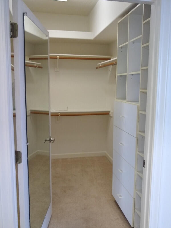 walk in closet with light colored carpet