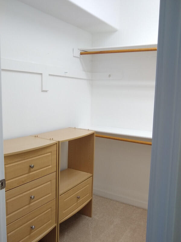 walk in closet featuring carpet floors