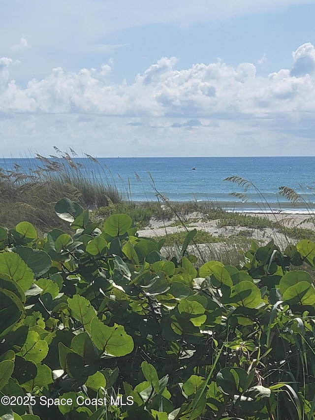 403 Hayes Ave, Cocoa Beach, FL 32931 - water view