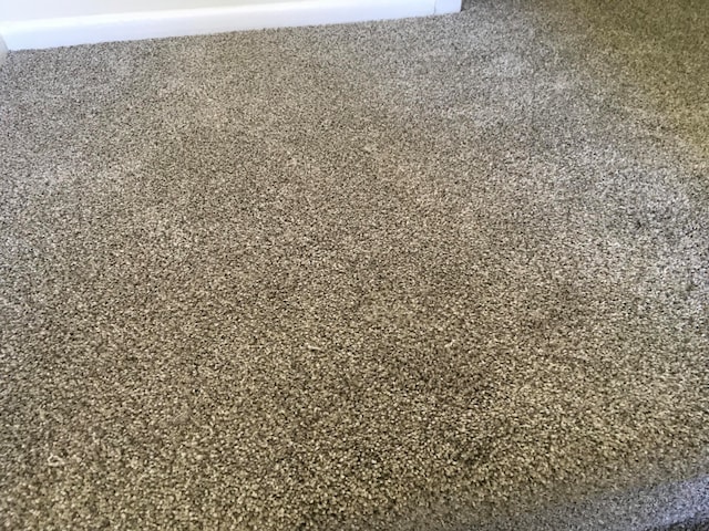 details featuring carpet flooring