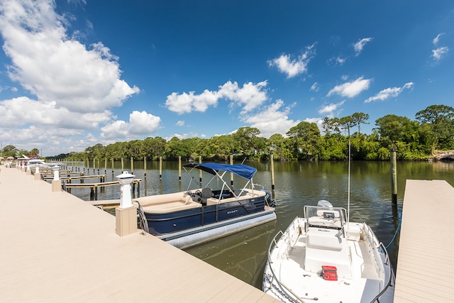 dock area with a water view