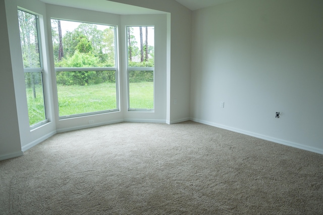 empty room with light carpet and a healthy amount of sunlight