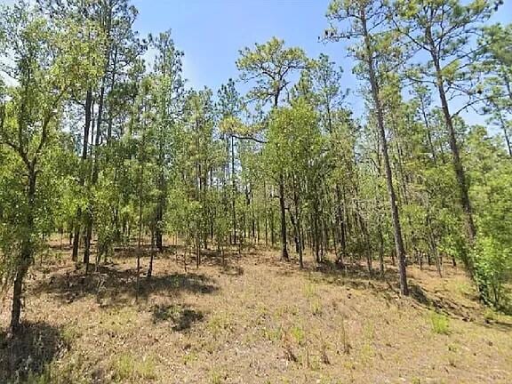 0 NW Tree Top Rd, Dunnellon FL, 34431 land for sale