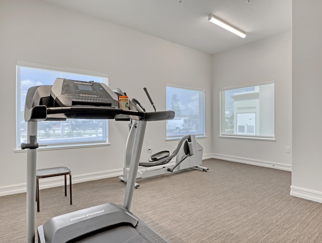 exercise room featuring light carpet