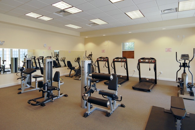 workout area featuring carpet floors and a drop ceiling