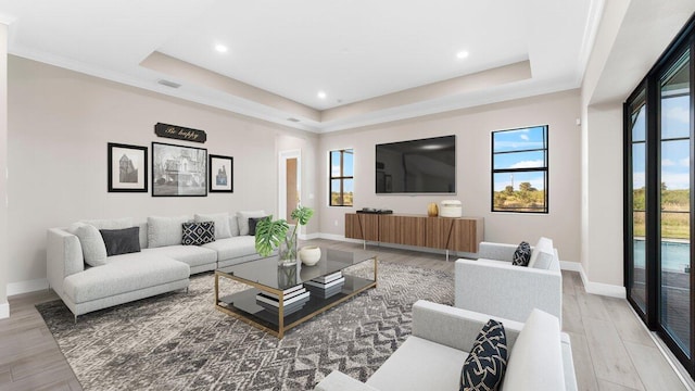 living room with wood-type flooring and a raised ceiling