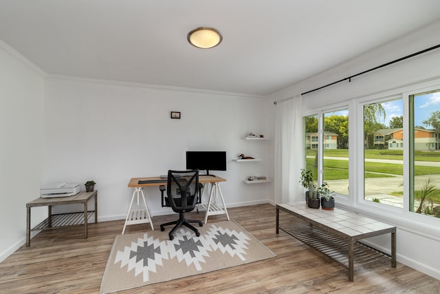 office space featuring ornamental molding and light wood-type flooring