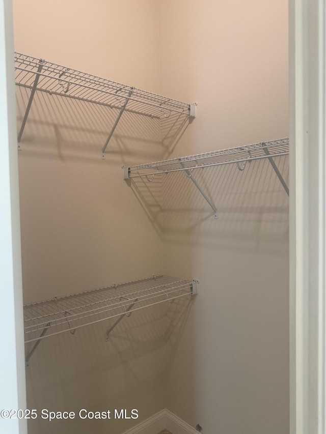 view of spacious closet