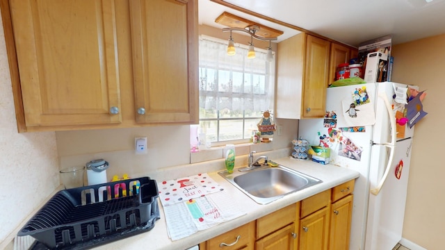 kitchen featuring sink and white refrigerator