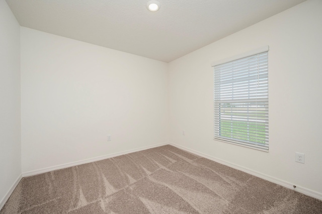 spare room featuring carpet flooring