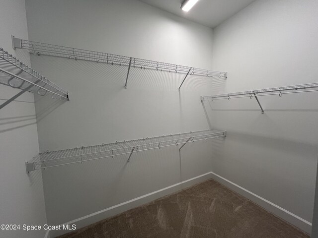 8526 Lyside Dr, Melbourne, FL 32940 - walk in closet with carpet floors