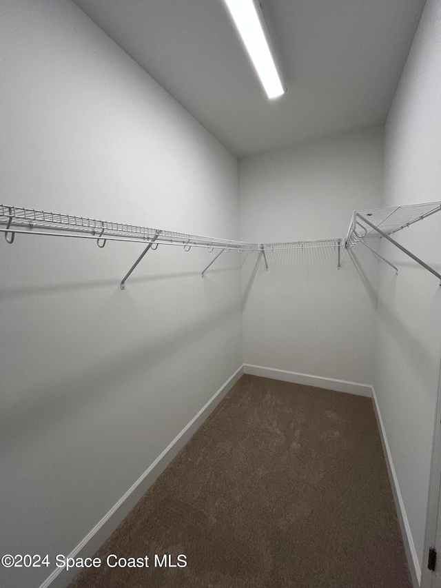 spacious closet with dark colored carpet