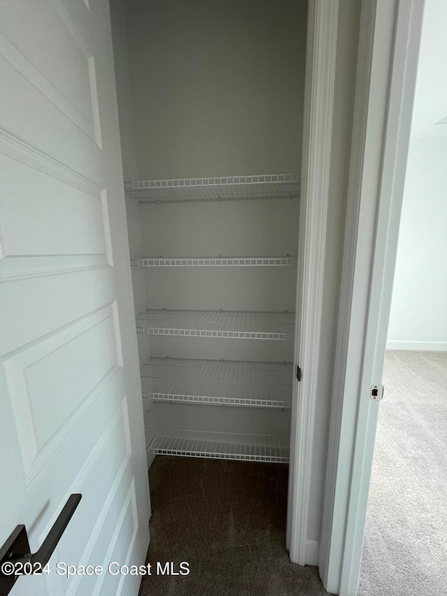 view of closet