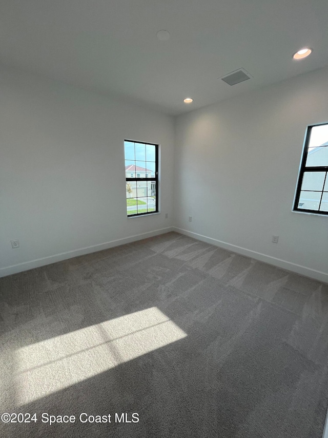 carpeted spare room with a wealth of natural light