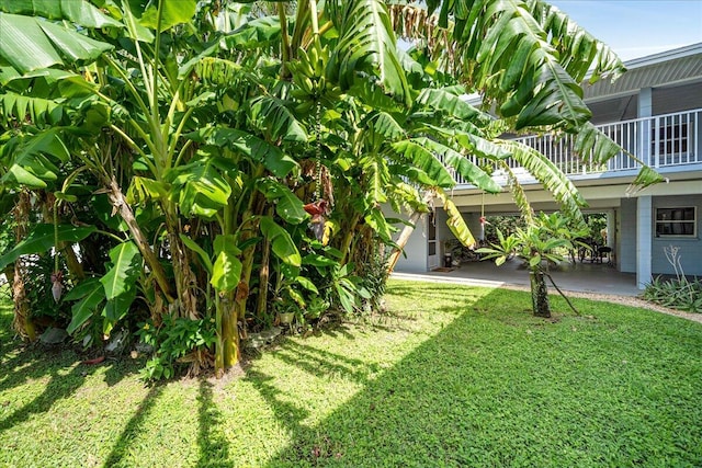 view of yard with a patio