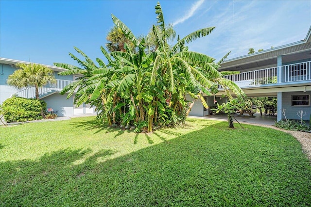 view of yard featuring a patio area