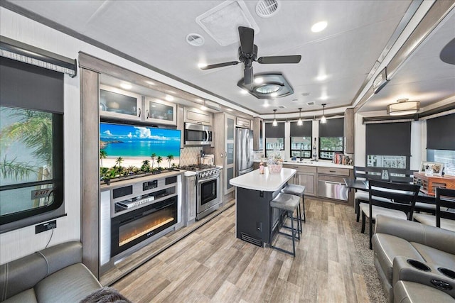 kitchen featuring light wood-type flooring, a kitchen breakfast bar, a center island, and stainless steel appliances