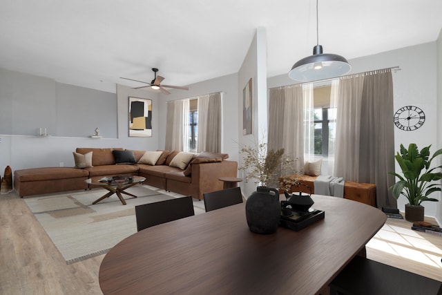 dining area featuring ceiling fan and light hardwood / wood-style flooring