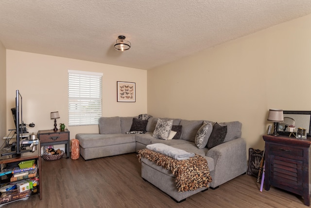 living room featuring hardwood / wood-style floors and a textured ceiling