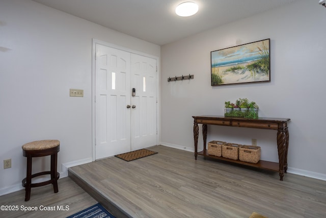 entrance foyer featuring wood-type flooring