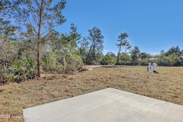 view of yard with a patio area