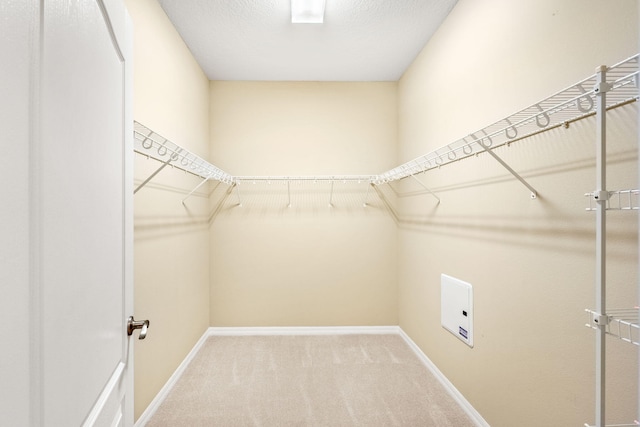 walk in closet with light colored carpet