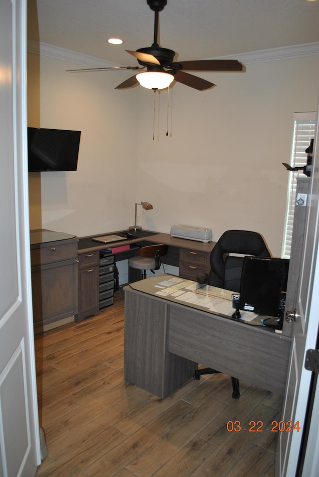 home office with light hardwood / wood-style floors, ceiling fan, and crown molding