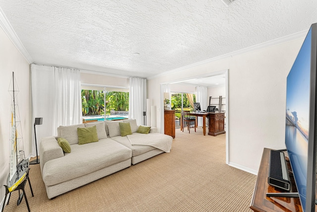 living room with ornamental molding, carpet flooring, and a textured ceiling