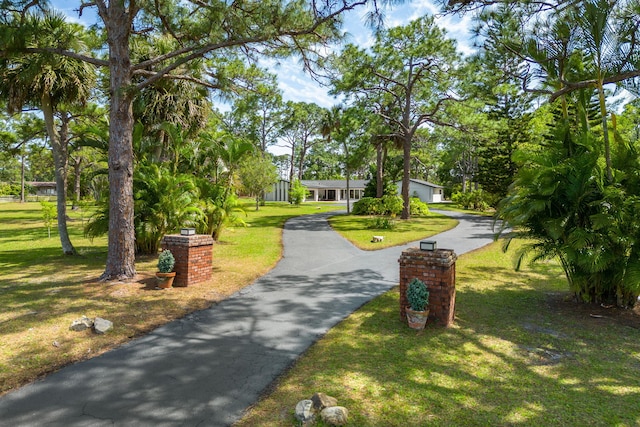 view of property's community with a lawn