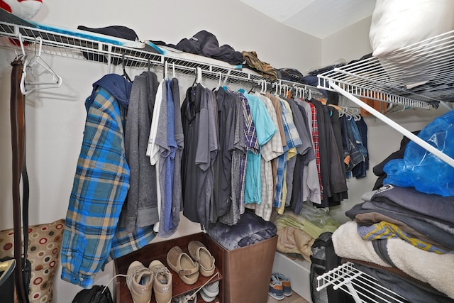 view of spacious closet