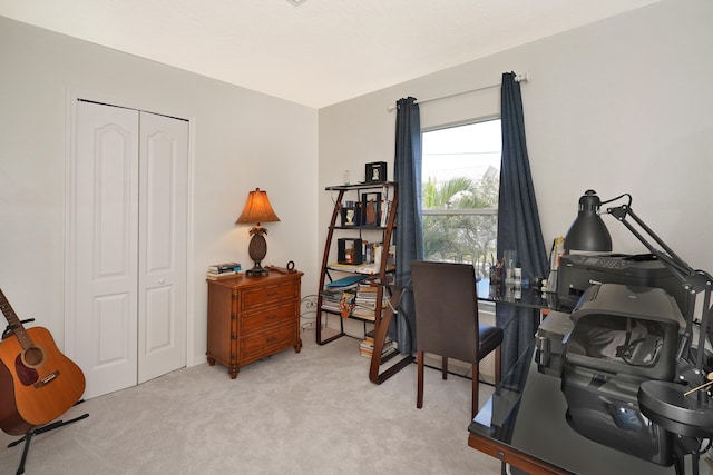 office featuring light colored carpet