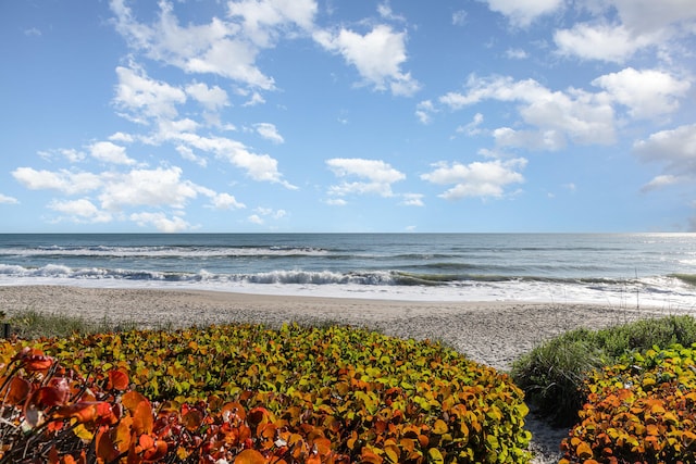 view of water feature featuring a view of the beach